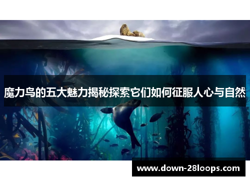 魔力鸟的五大魅力揭秘探索它们如何征服人心与自然